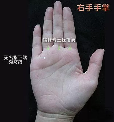 些線紋看似一條,實際上是兩條線相而成,此為之假性斷掌。如對手紋學認識不深