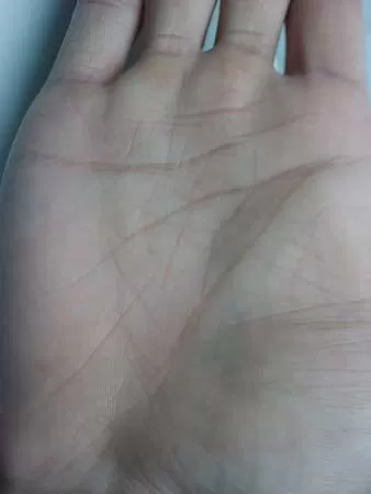 好像一條橫紋將手掌分開二部份似的,那麼這就通常說得斷掌,手相學中叫做「通