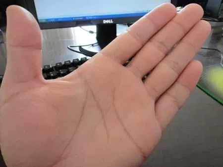 的掌紋的一種稱呼。我們知道,人的手掌通經常會有三條線,那就是生命線、感情