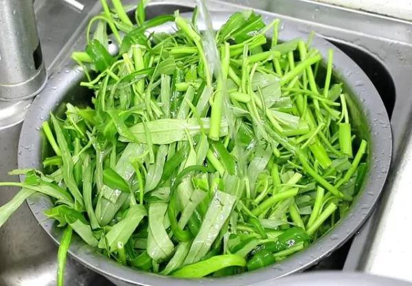 ,健脾開胃,健康過苦夏。1紫茄子紫茄子